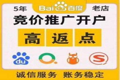 深度解析：百度推广代理的运营策略与效果